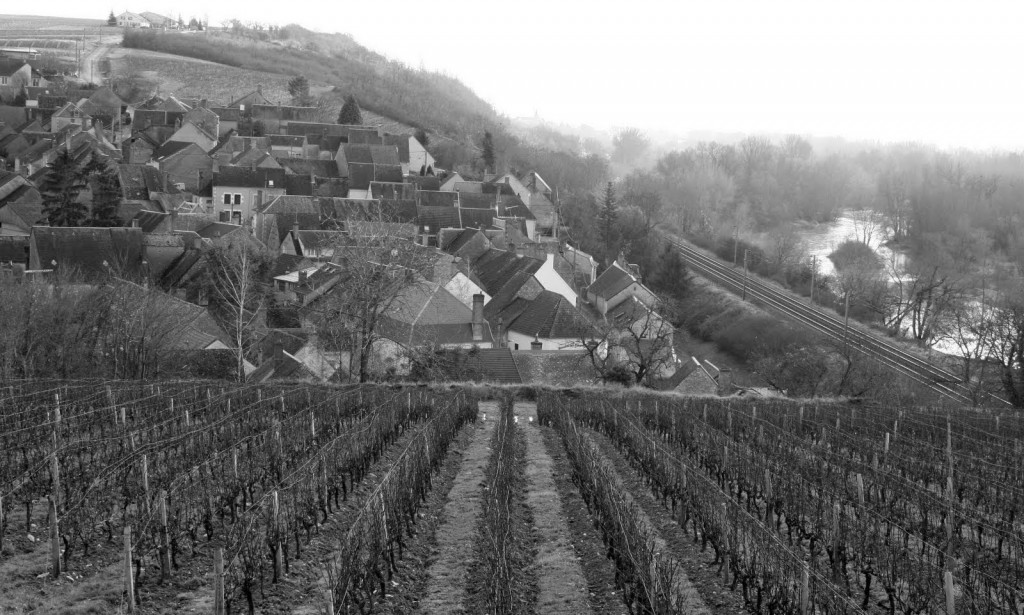 Pouilly-Fume_20080107_11